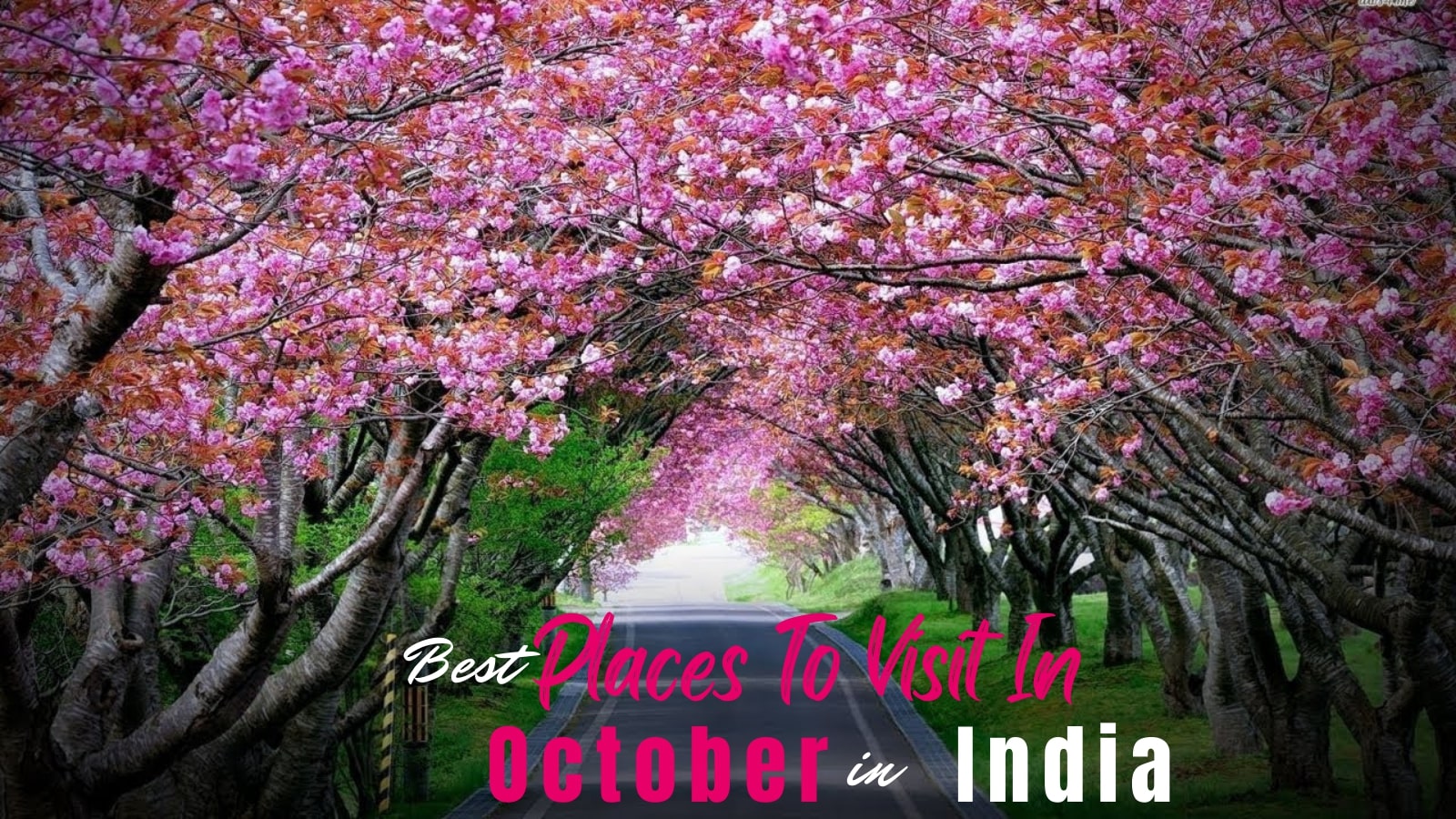 20 Best places to visit in October in India 2022 (Updated)