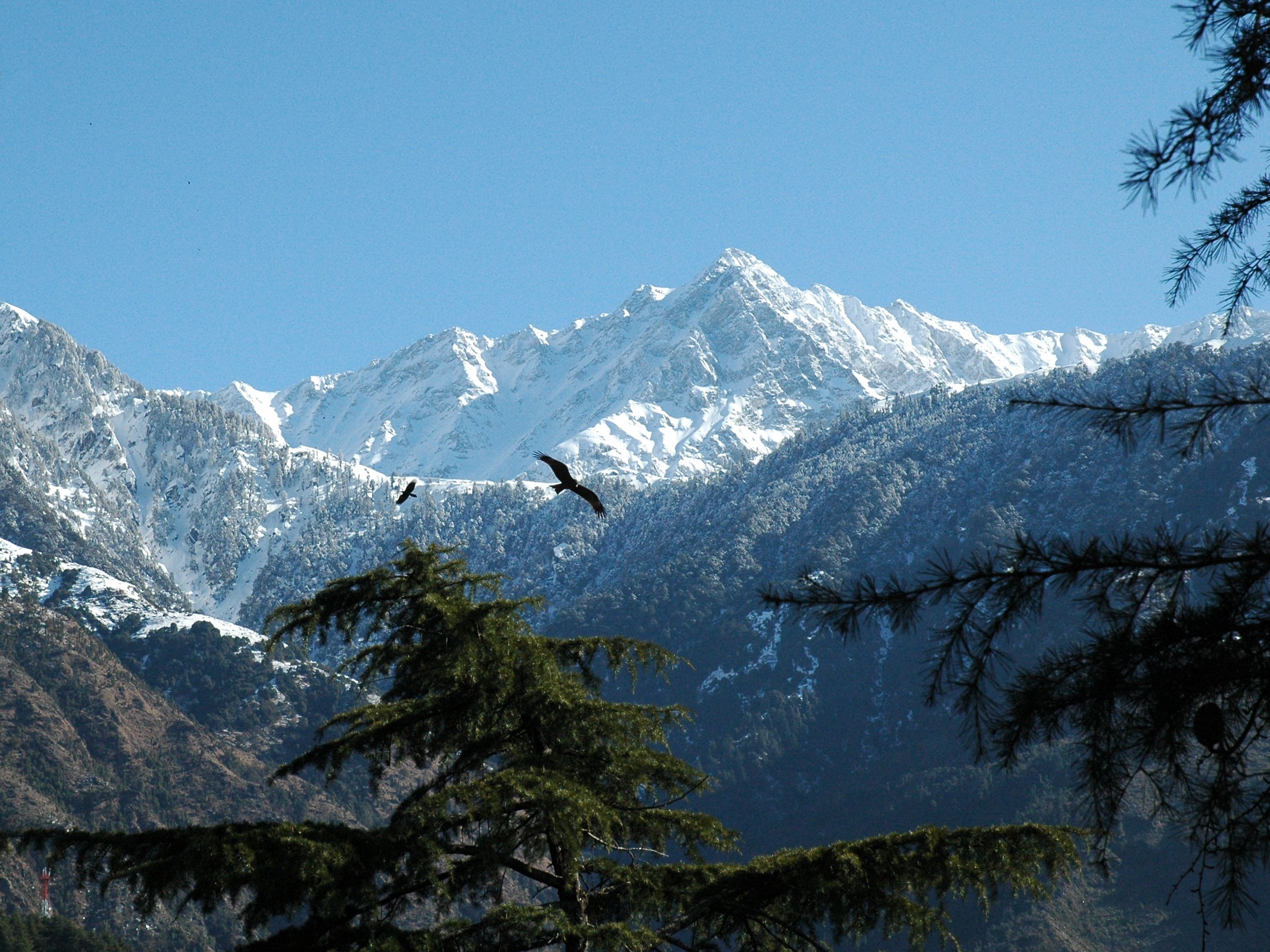 After manali places to visit in Himachal Pradesh