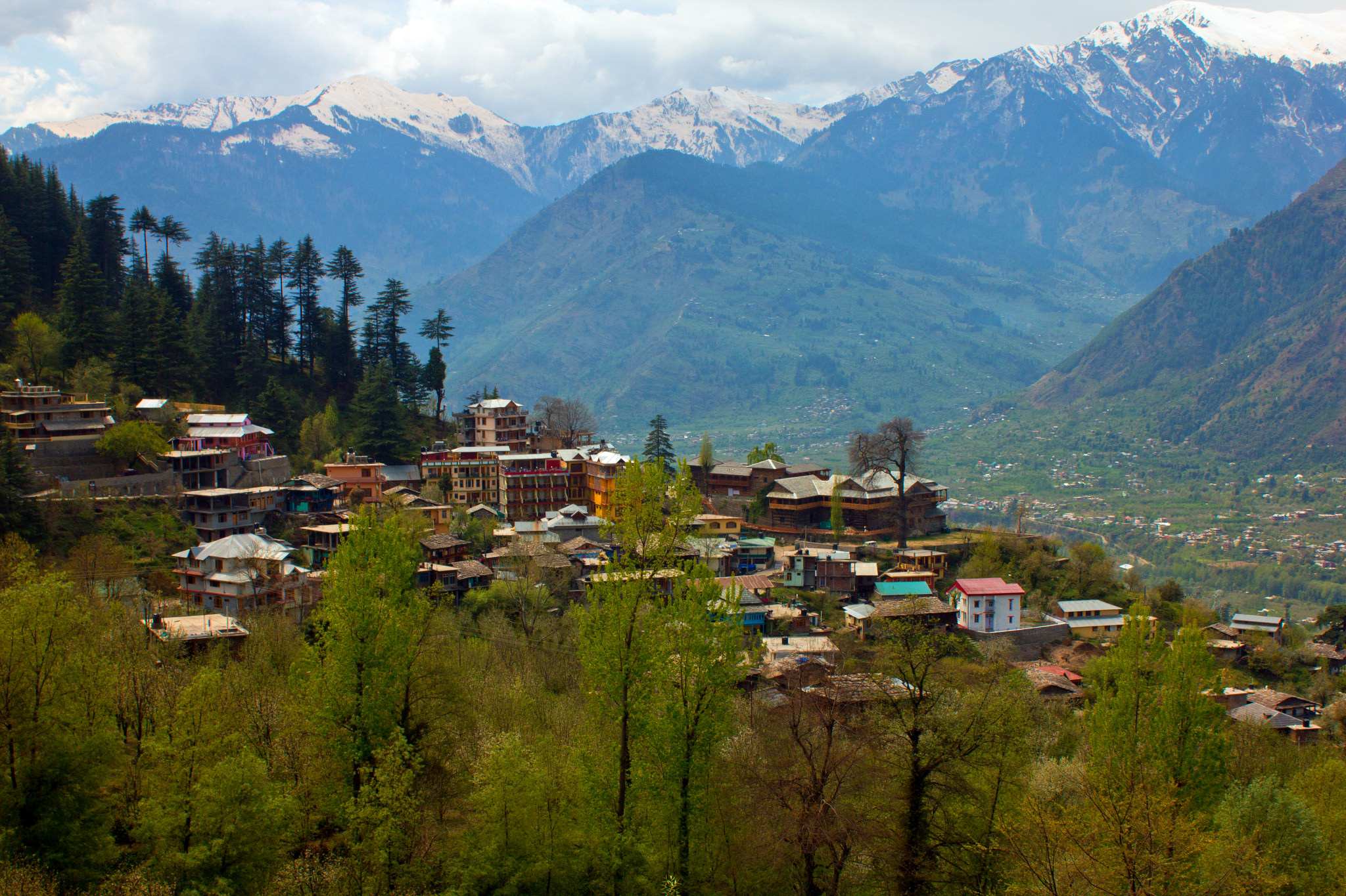 Best travel company in Delhi for Manali tour packages