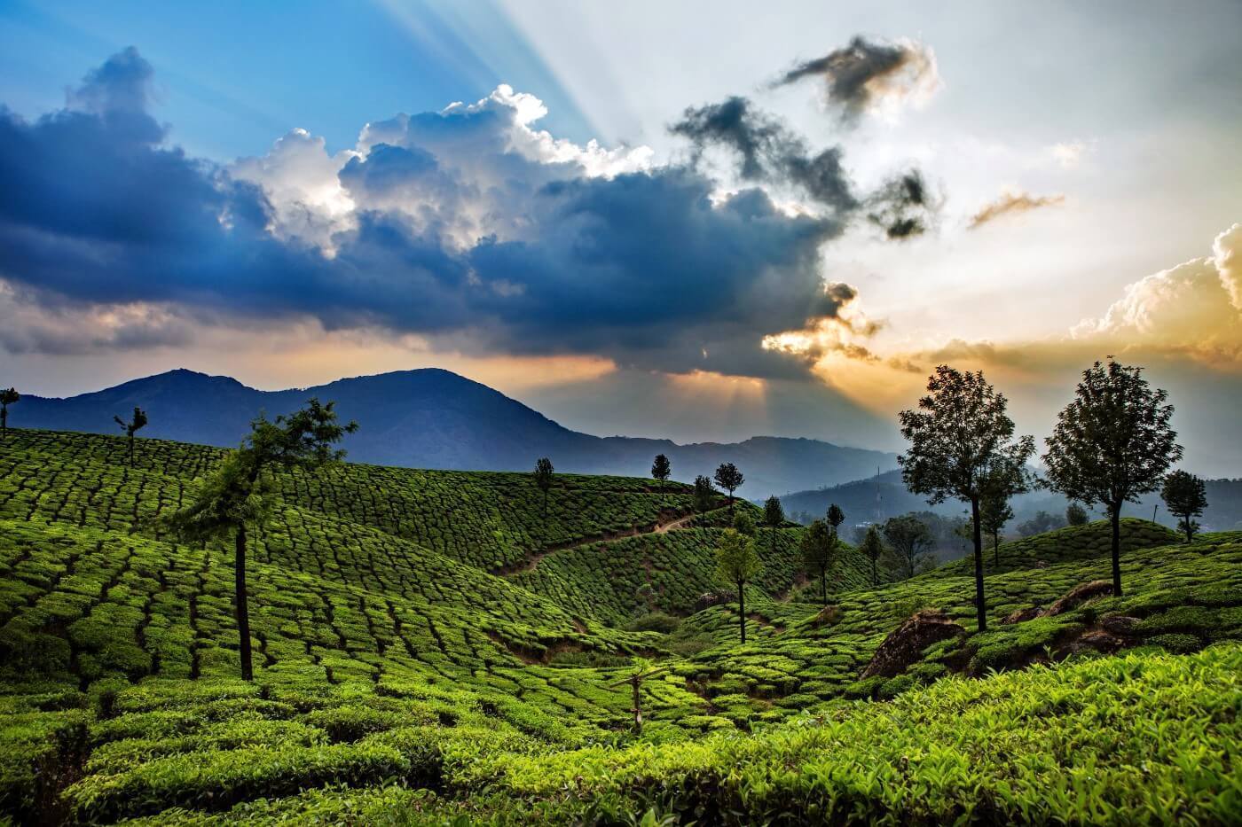 Tour packages for Kerala